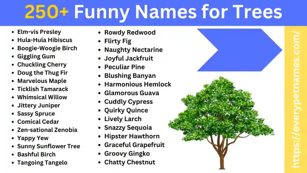 250-funny-names-for-trees-every-pet-names